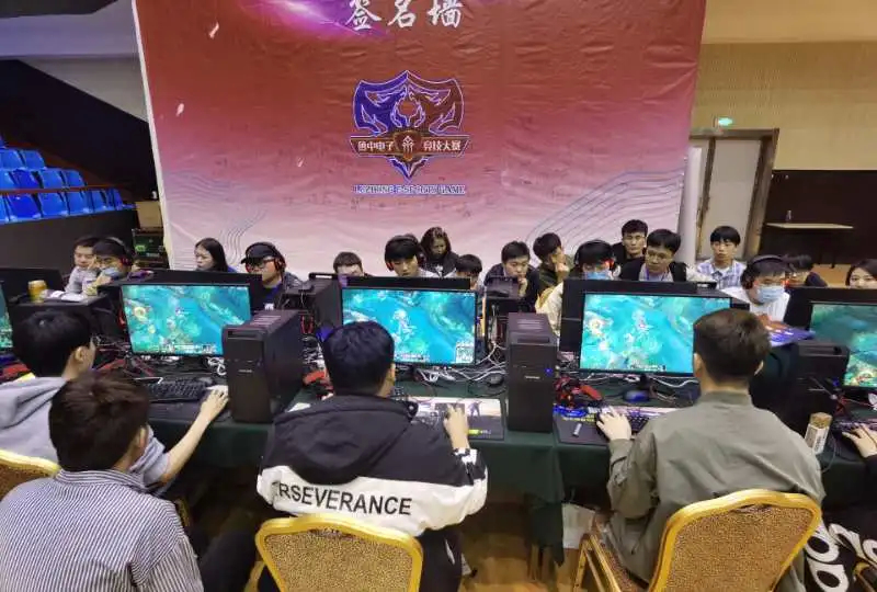 维奇和霍伊 维奇和霍伊