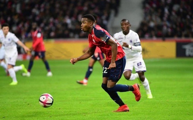 中国羽毛球 中国羽毛球