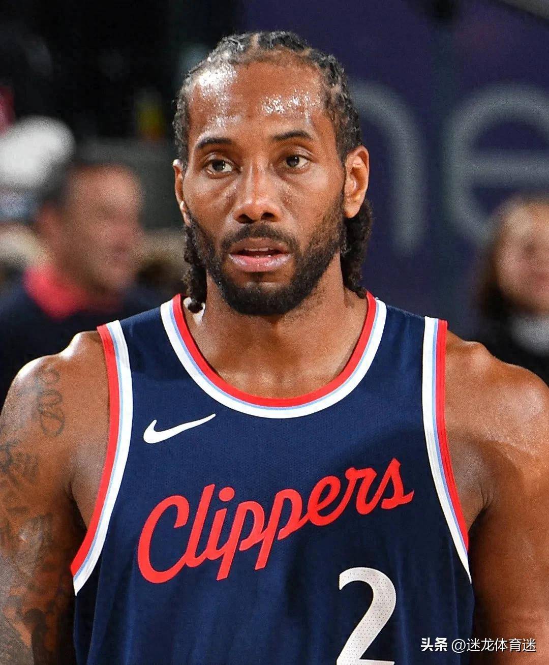 若老鹰类东 若老鹰类东